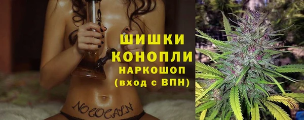 mdpv Белокуриха