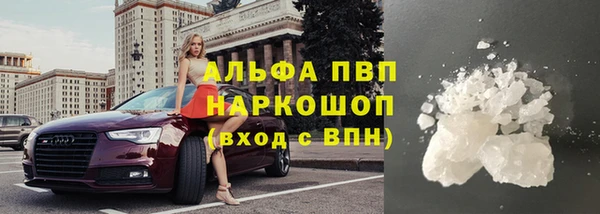 mdpv Белокуриха