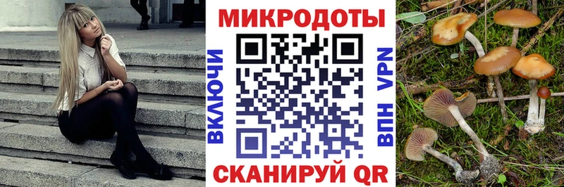 Псилоцибиновые грибы прущие грибы Афипский